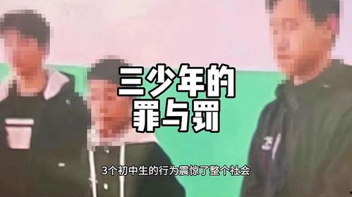 社会热点话题事件素材 热门大瓜每日必吃,揭秘热门大瓜，社会热点事件深度解析