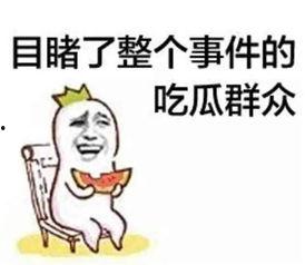 带你去吃瓜瓜哥视频,揭秘网红美食背后的故事