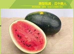 黑瓜吃料网,揭秘美食背后的故事与营养秘密